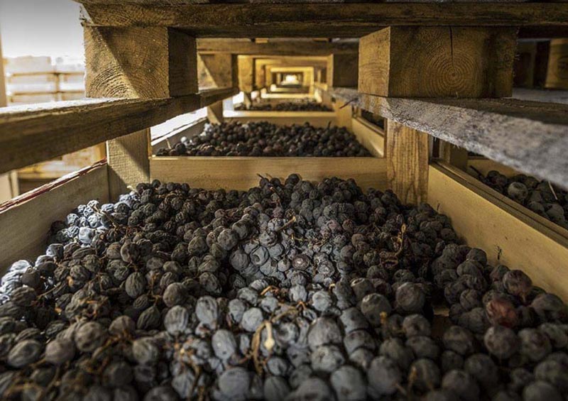 Amarone della Volpicella